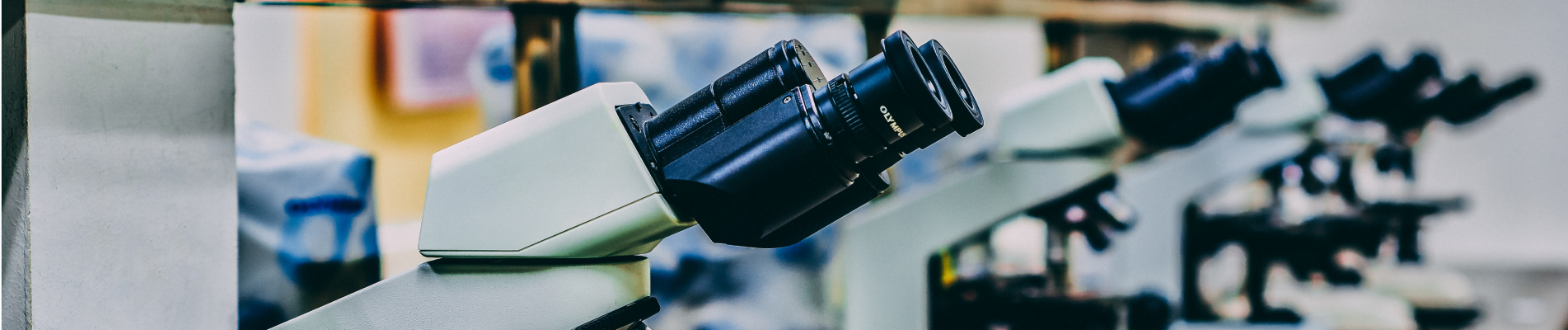 How Can When a Weight Loss study is Unreliable?